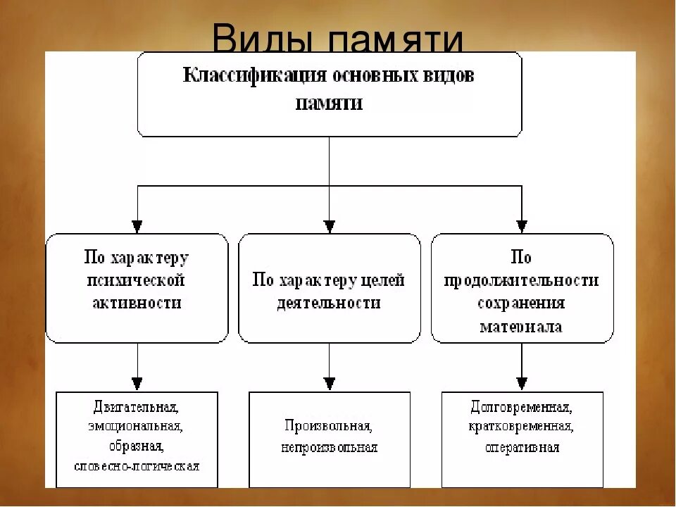 Память формы виды памяти. Классификация основных видов памяти. Характеристика видов памяти. Виды памяти у человека. Виды памяти схема.