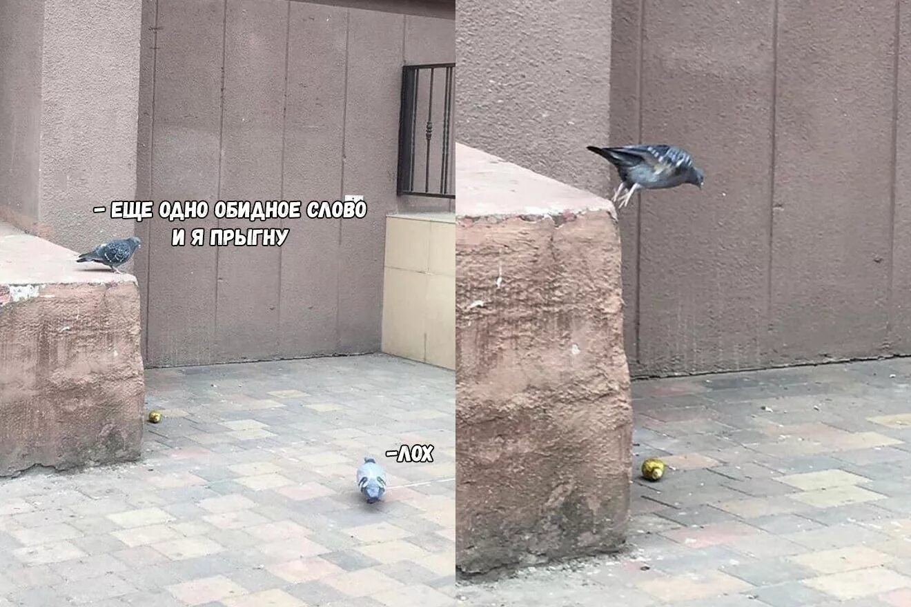 Энджойкин космос. Я спрыгну сделай сальто. Анекдот про невидимку и супермена. Мем сделай сальтуху. Футурама я буду прыгать.