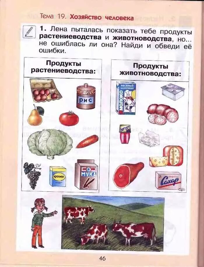 Растениеводства окружающий мир третий класс рабочая тетрадь. Продукты растениеводства окружающий мир. Запиши продукты Растениеводство. Продукты растениеводства окружающий мир 3. Продукты растениеводства 3 класс.