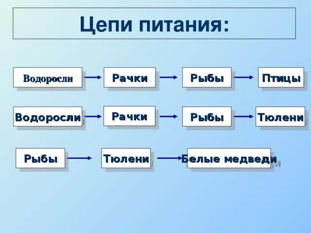 Цепь питания реки