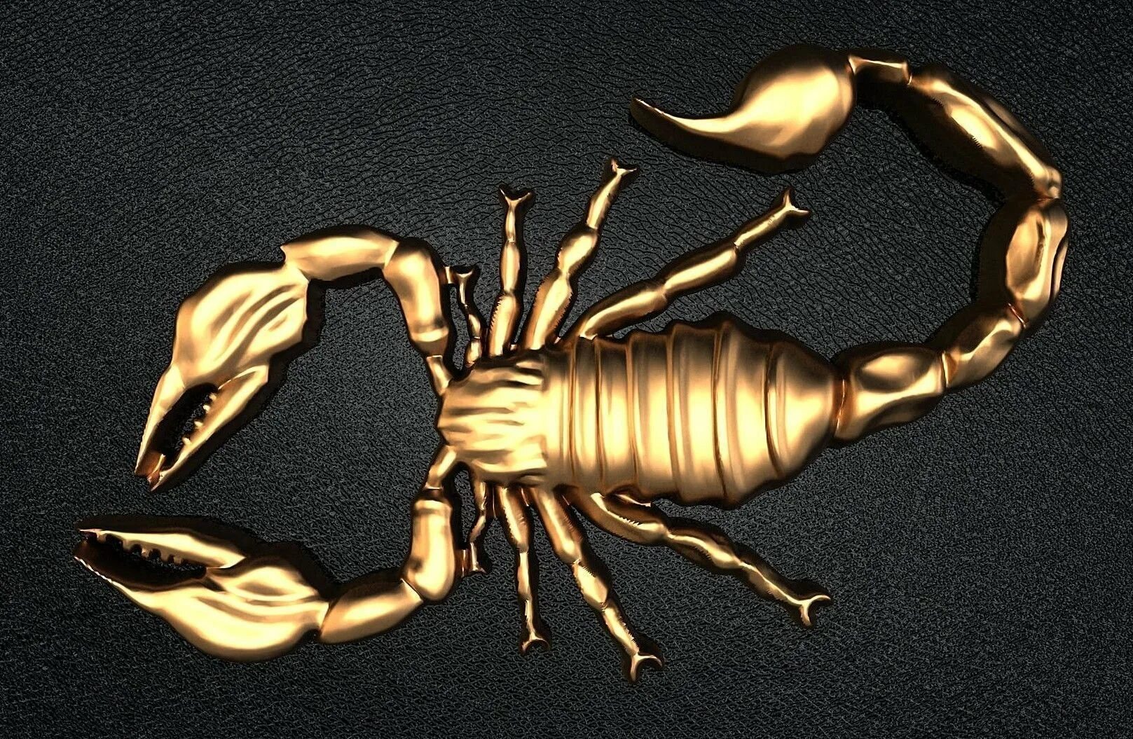 Скорпион дата выхода. Scorpion 3d model. Скорпион из со2со2. Скорпион золотой Скорпион. Коричневый Скорпион.