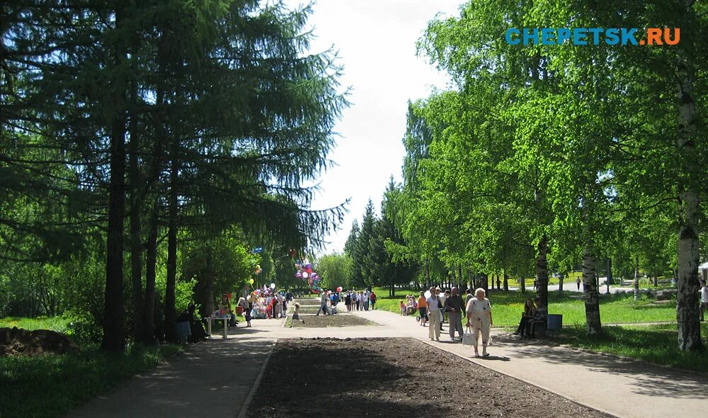 Аллея в кирово чепецке. Парк лихолесье кирово-чепецк, комсомольский парк фото. Парк кирово-чепецк. Зоопарк кирово-чепецк лихолесье. Комсомольский парк кирово чепецк.
