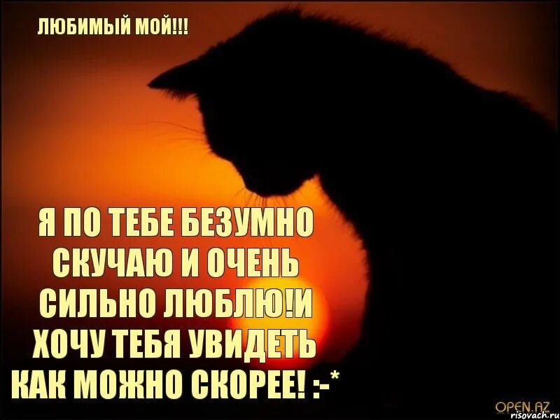 Моя безумная бывшая читать. Я очень сильно скучаю по тебе. Я очень скучаю по тебе картинки. Я тебя очень люблю и скучаю. Я тебя очень сильно люблю и скучаю.