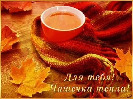 Тепла осенним утром