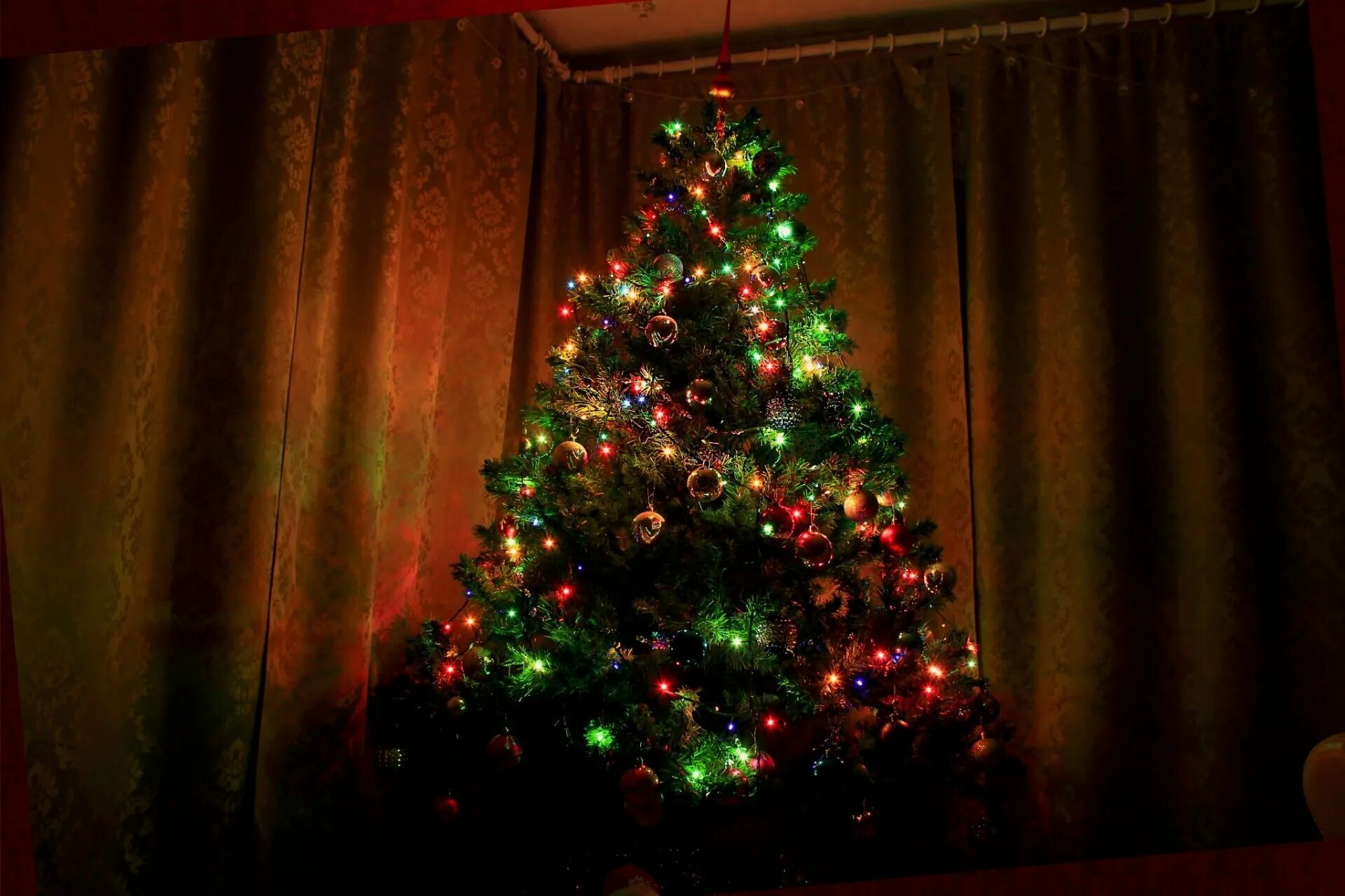 Фотки новогодней елки. Новогодняя елка. Наряжаем елку. Новогодняя елка фото. Новогодняя елка на заднем плане.