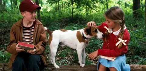 Мой пес скип 1999