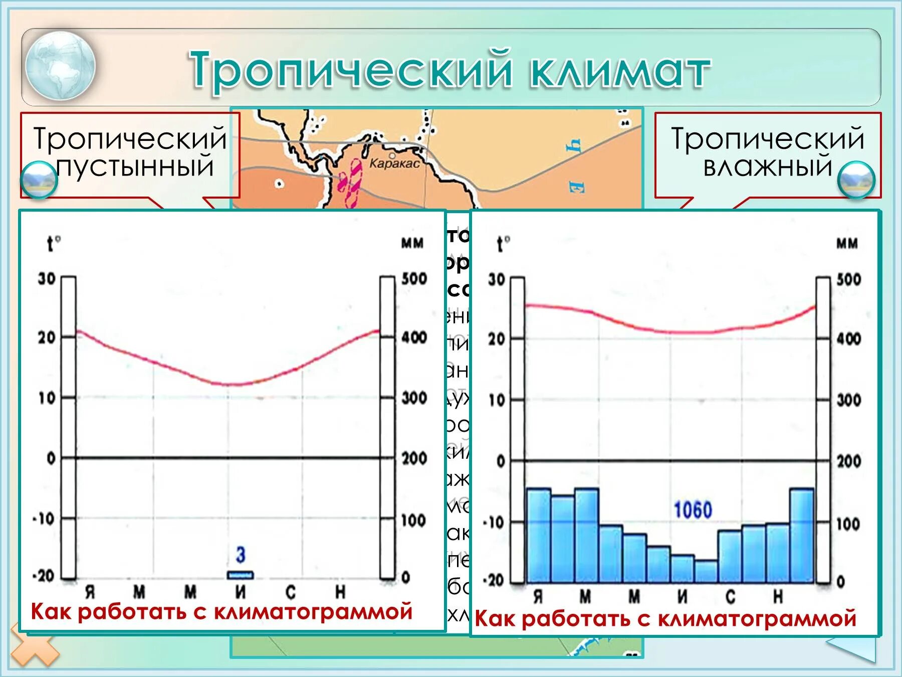 Климатограмма тропического пояса Южной Америки. Климатограммы тропического пояса Африки. Тропический влажный климат климатограмма. Климатическая диаграмма тропического.