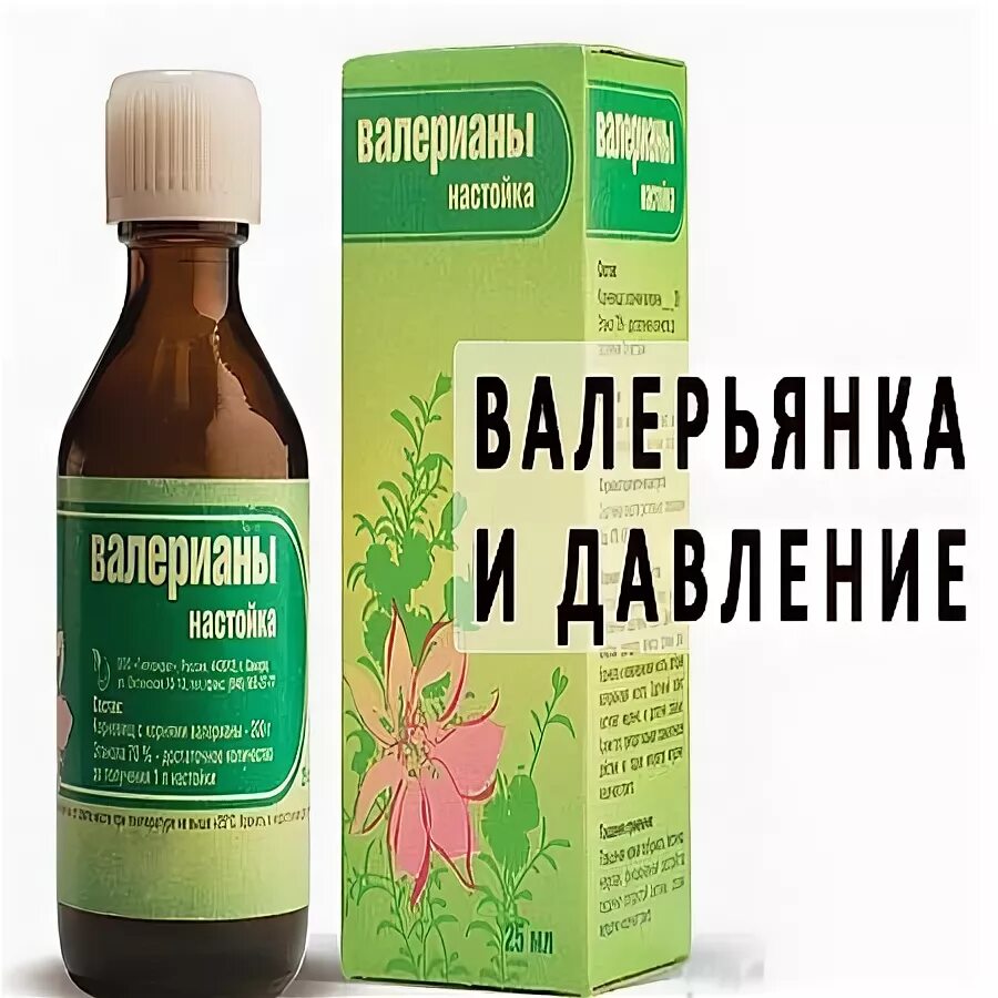 Пить валерьянку на ночь. Валерьянка. Валерьянка снижает давление. Валериана понижает давление. Валерьянка повышает или понижает давление.