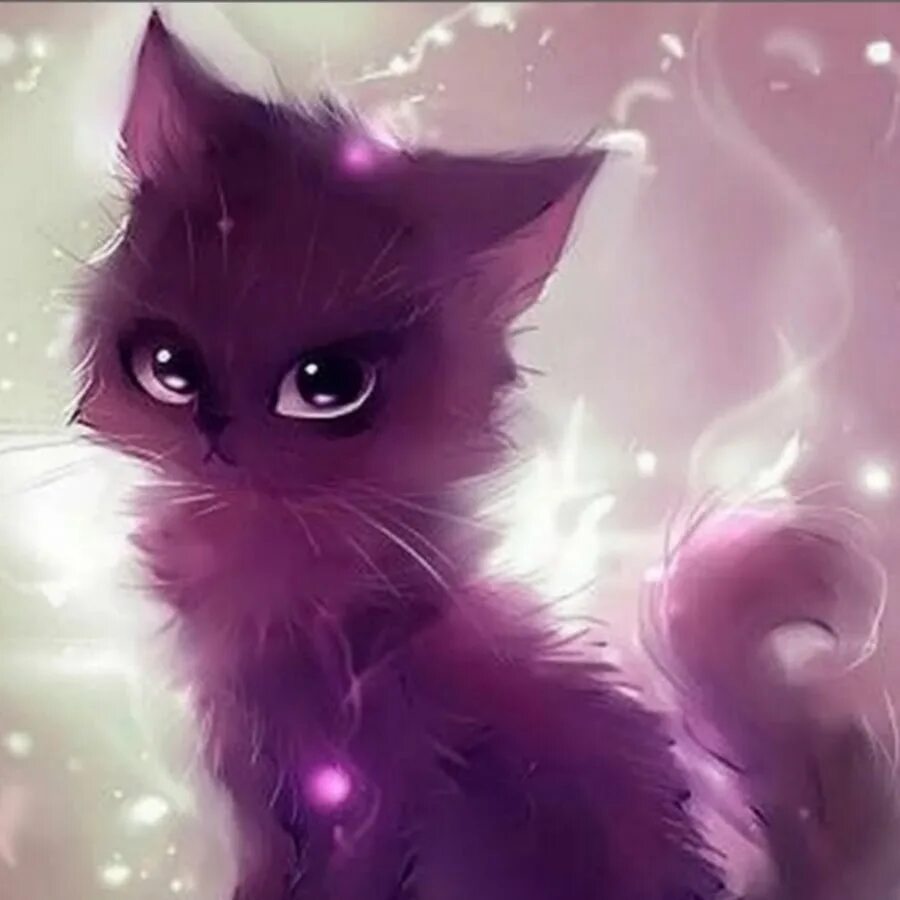 Фиолетовый кот. Фиолетовая кошка. Фиолетовые коты. Сиреневый котенок. Черно розовую кошку