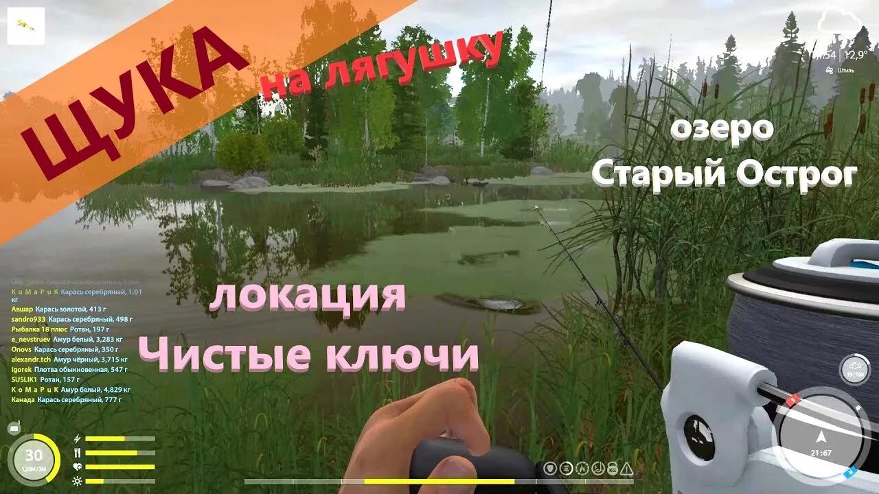 Русская рыбалка 4 лягушки