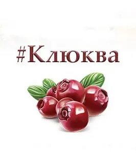Клюква сдать оптом