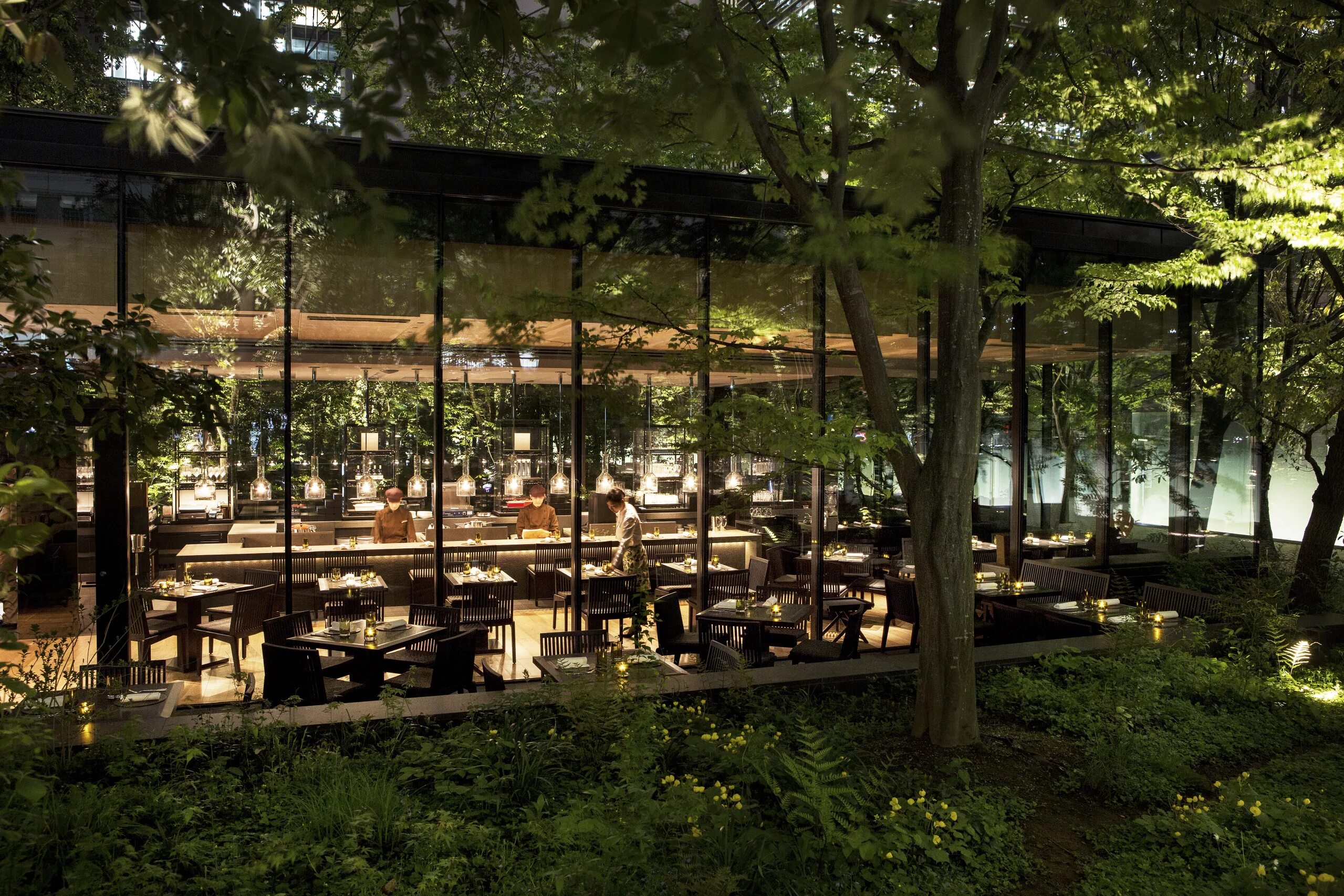 Forest rest. Ресторан форест сочи. кафе «café in forest» сыктывкар. ресторан в лесу. ресторан на природе.