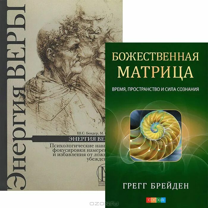 Божественная матрица Грегг Брейден книга. Грегг Брейден матрица сознания. Матрица сознания книга. Божественная матрица Брейден. Озон купить учебник