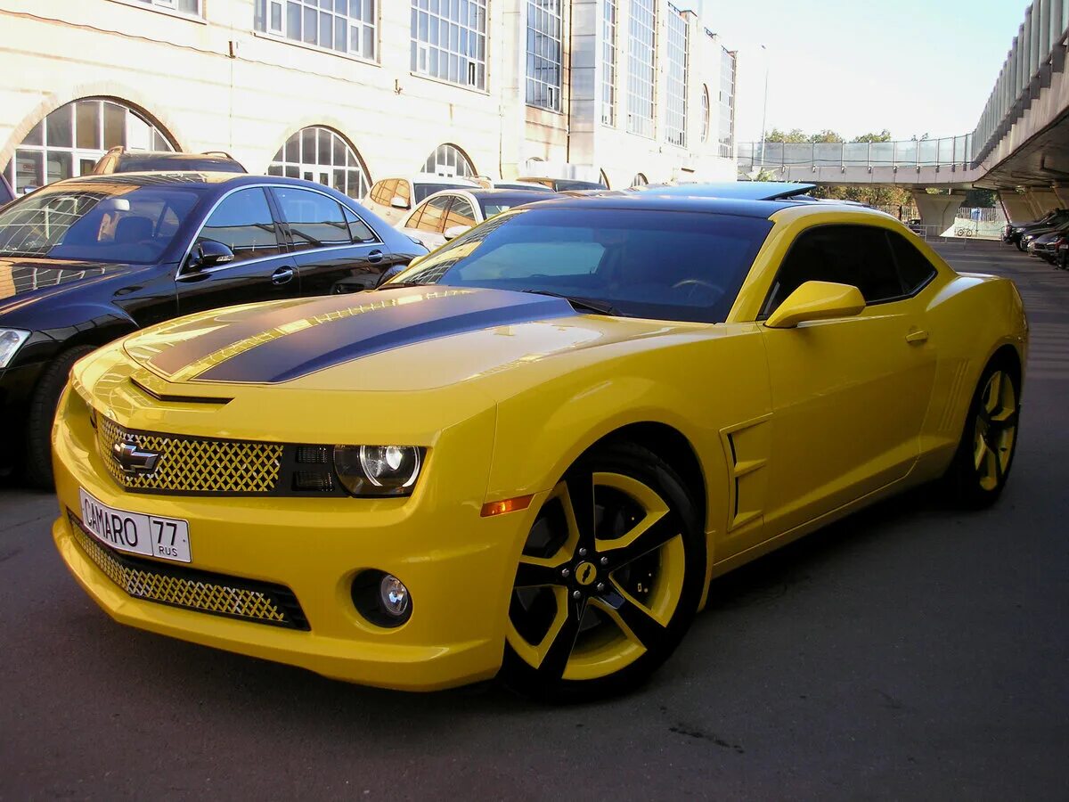 Шевроле продажа б. Шевроле Камаро 2011. Шевроле Камаро 2011 желтая. Chevrolet Camaro желтый. Шевралет Камара жёлтый.