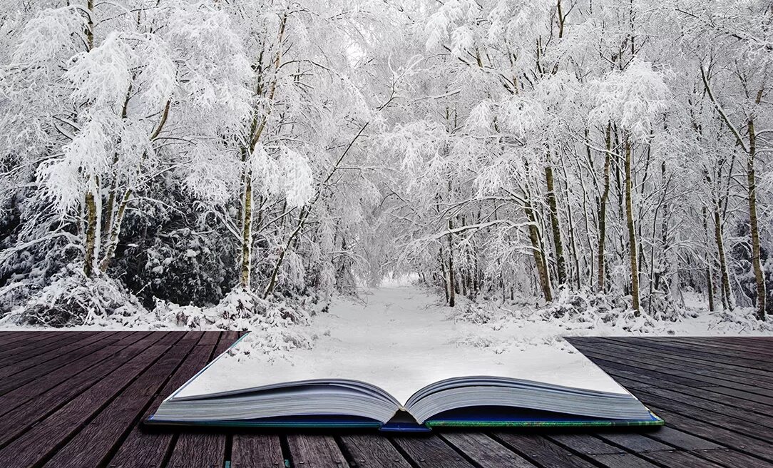 Зима поэзия. Зимняя книга. Книга на снегу. Зимняя обложка. Красивые зимние книги.