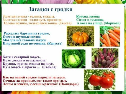 Вопросы про овощи и фрукты