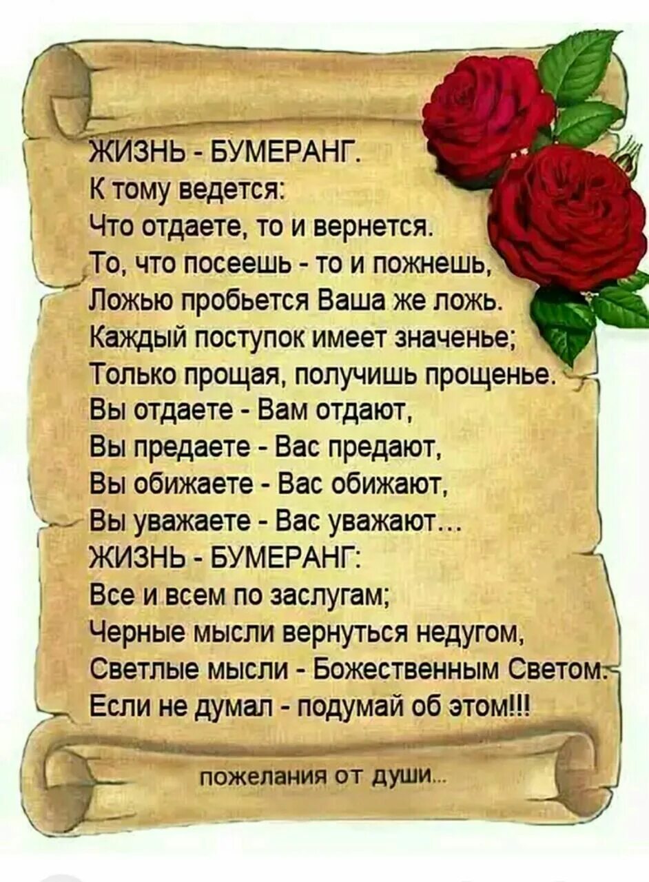 Живу в доме свекрови. Жизнь Бумеранг стихотворение. Стихи о жизни. Стих про Бумеранг. Поучительные стихи.