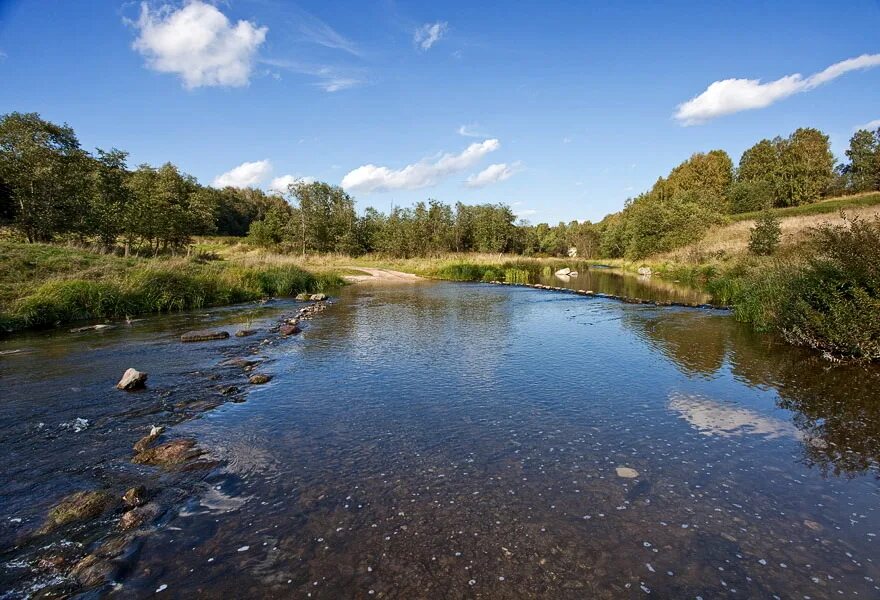 Брод реки. Речной брод. Старицкая швейцария река холохольня. Брод на реке выкат. Броды купить дом.