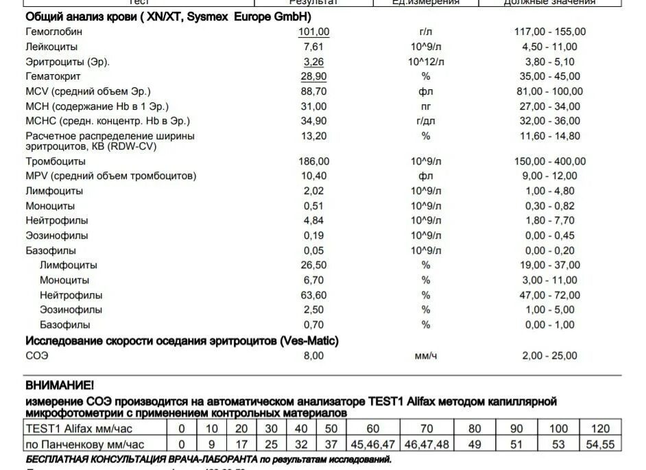 Мснс понижен у женщины. Общий анализ крови норма MCHC. MCHC В анализе крови норма у детей. Норма МСНС В крови. Расшифровка анализа крови MCHC повышен.
