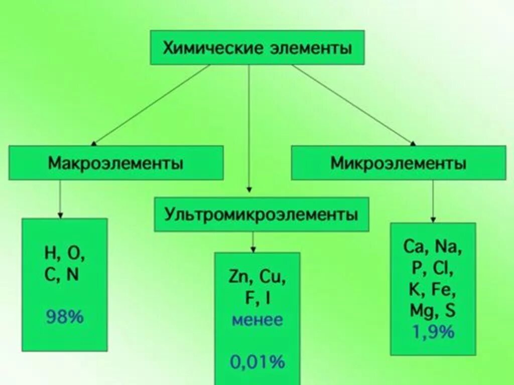 Макроэлементы 2) микроэлементы 3) ультрамикроэлементы. Элементы биогены макроэлементы микроэлементы схема. Химические элементы клетки.