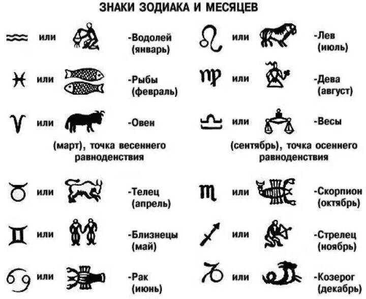 Знаки зодиака. Знаки зодиака обозначения символы. Знак зодиака знаки зодиака по месяцам. Знаки зодиака по месяцам значки. 21 января знак зодиака какой по гороскопу