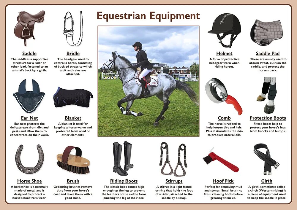 Horse riding Equipment. Принадлежности крутые для лошадей и наездника. Equipment for Horse riding. Виды вальтрапов для лошадей с названиями.