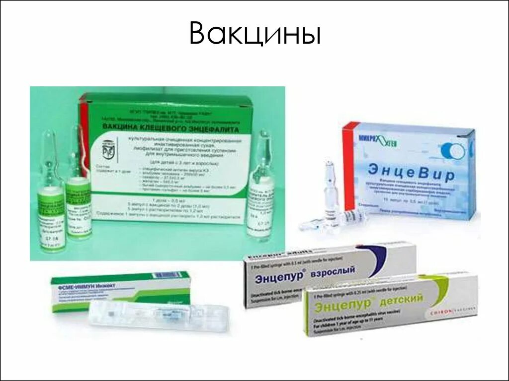 Сколько стоит клещевая вакцина. Вакцина от клещевого энцефалита. Вирус клещевого энцефалита вакцина. Вакцина против клещевого энцефалита схема вакцинации. Против клещевого энцефалита вакцина энцевир.