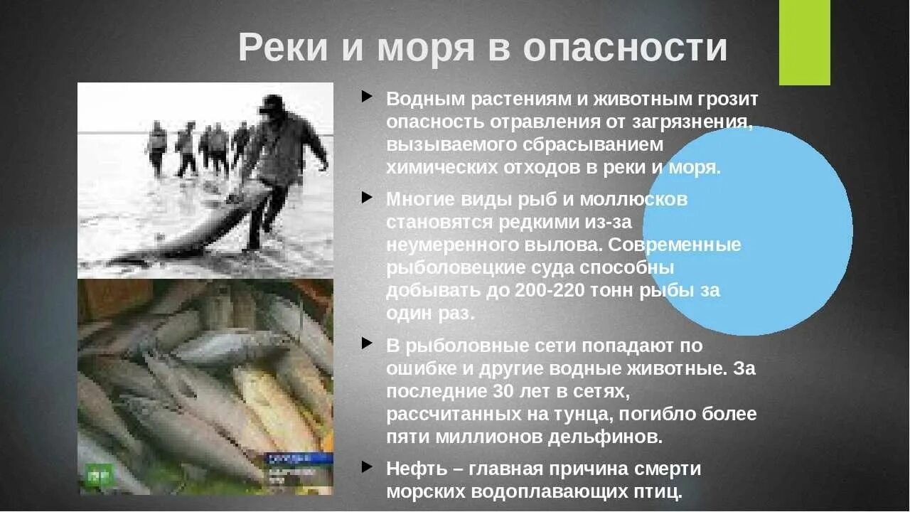 Опасности в море. Море угрожающая опасность. Какие опасности угрожают природе. Какие опасности угрожают природе Кировской области.