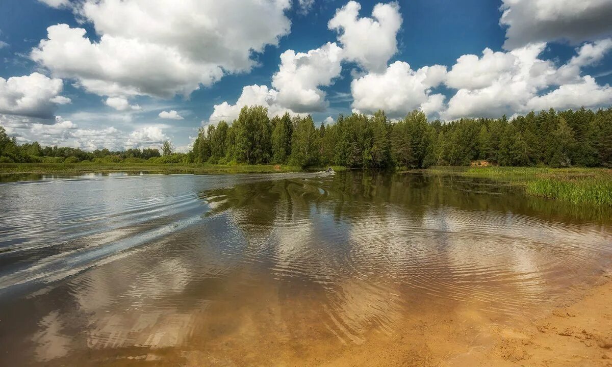 Река Унжа Костромская область. Костромка река в Костроме. Река Покша Кострома. Река Покша Костромская область. Реки озера костромской области