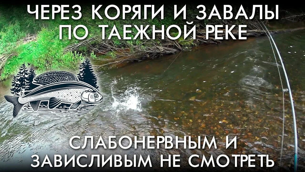 Рыбалка дикой тайге новое видео братья приходько. Братья приходько - рыбалка в дикой тайге. рыбалка в дикой тайге братья приходько 2025. братья приходько рыбалка в дикой тайге видео.