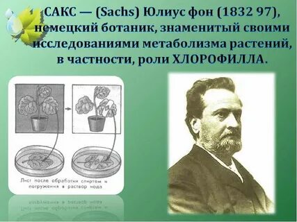 Исследования фотосинтеза