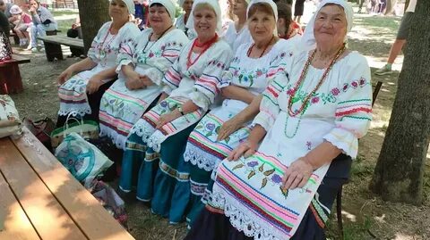 Субсидии новосибирск