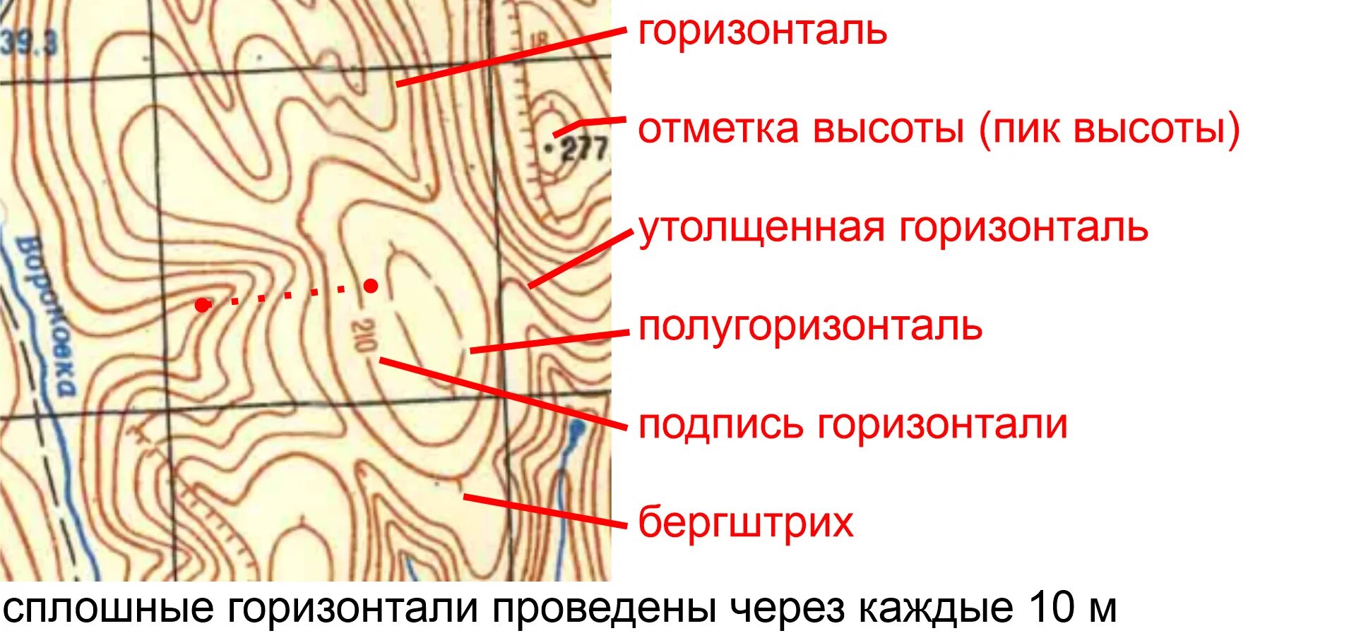 Сплошные горизонтали. Утолщенные горизонтали. Утолщенные горизонтали на карте. Утолщенные горизонтали на плане. Горизонталь телефона