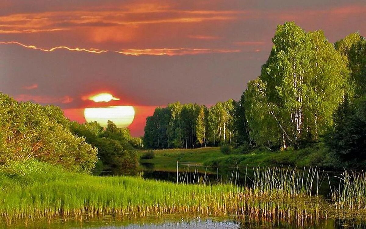 Фотопейзажи Смоленской области. Юшкевич "родные просторы". Красота русской природы. Пейзажи России. Бывай родной край