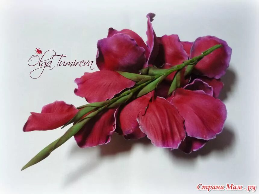 ростовые гладиолусы. гладиолус из изолона. гладиолус из изолона. мк гладиолусы из фоамирана. гладиолусы из фома.