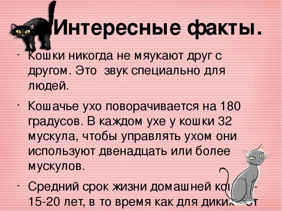 Звук для привлечения котов. Звуки которые издают коты. Что означает когда кошка мяукает. \Кошки их звуки и их значение. Как мяукают в разных странах.