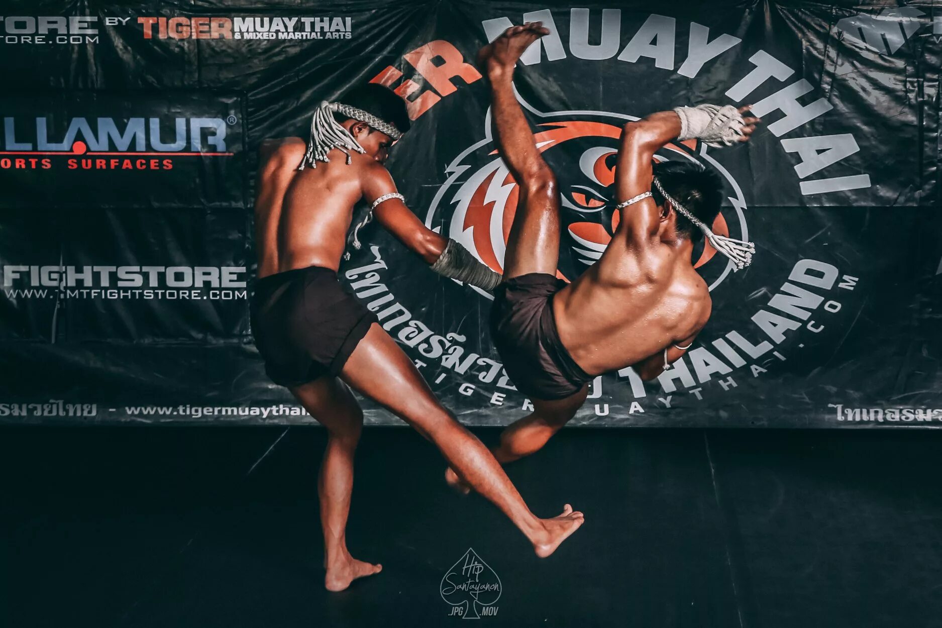 Тайгер муай. Тайгер Муай Тай Пхукет. Tiger MMA Тайланд. Тигр Муай Тай Тайланд. Тайланд Джим Тайгер.