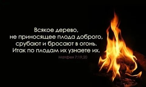 Дерево не приносящее плода доброго