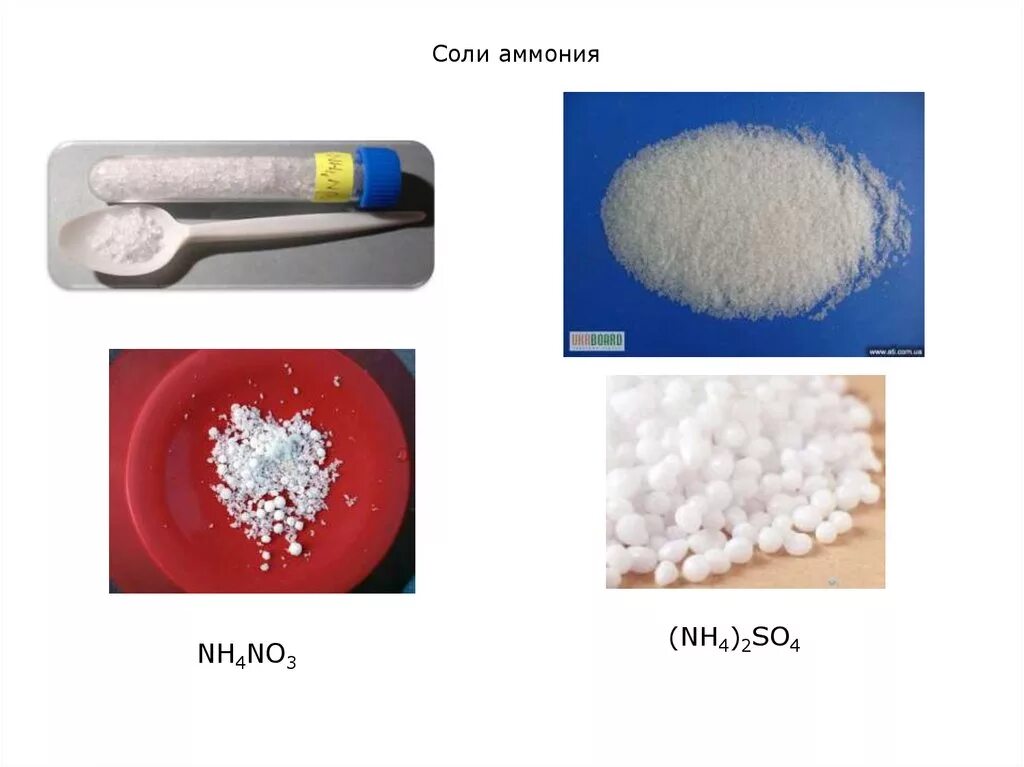 Химия соли аммония. Соли аммония. Аммониевая соль. Аммиачная соль. Соль сульфата аммония.