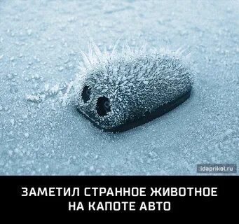 Замерзли форсунки