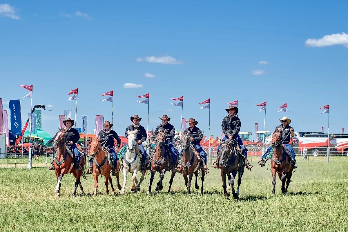 Балтийском поле. Балтийское поле. Калининград поле. Балтийском поле. Родео мираторг калининград.