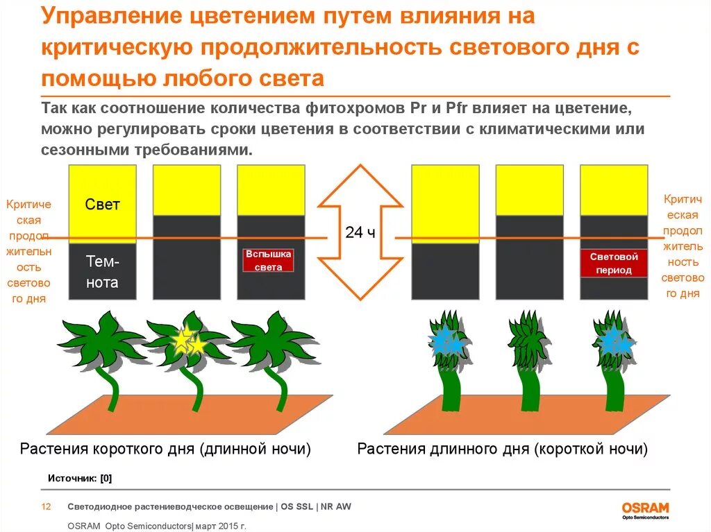 Увеличение продолжительности светового дня фактор среды. Влияние света на растения. Световой режим растений. Фотопериодизм растения короткого и длинного дня. Влияние растений на световой режим.