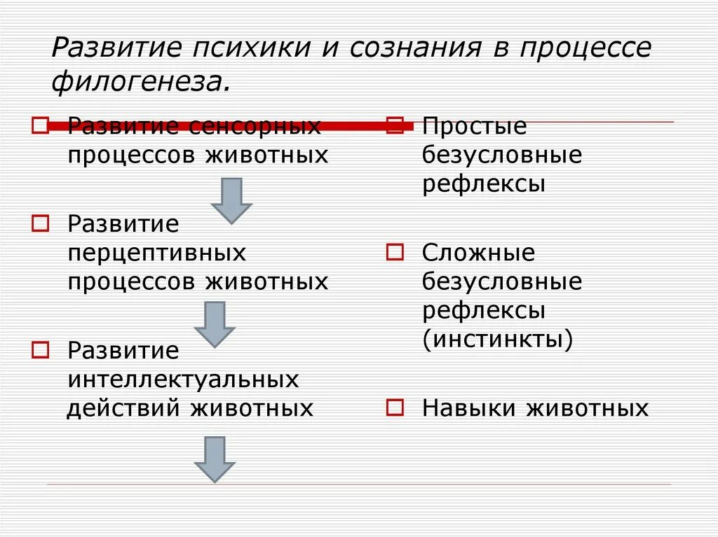 Этапы филогенеза. Стадии исторического развития психики и сознания. Стадии развития психики человека в филогенезе. Психика и сознание: этапы и стадии развития. Теории формирования психики и сознания.