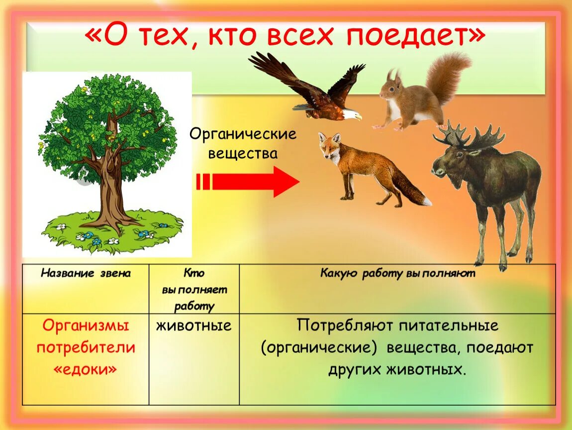 Великий круговорот жизни. Окружающий мир круговорот жизни. Потребитель и производитель. Презентация по теме Великий круговорот жизни.