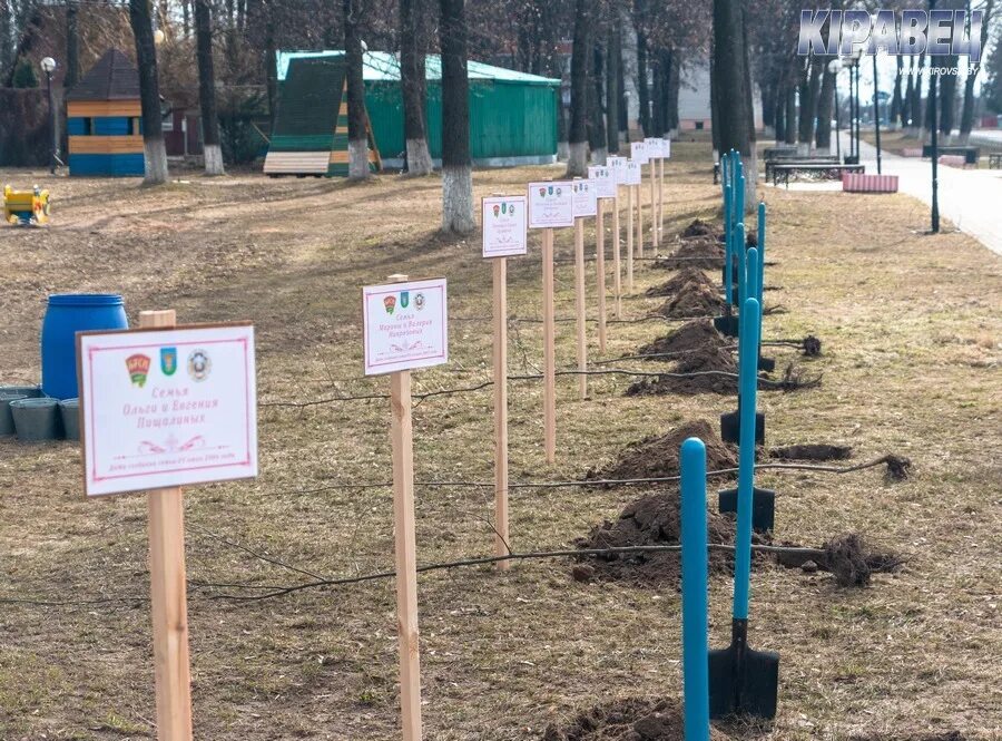 Сакура в парке 300 летия санкт-петербурга. Парк фото закладки. Закладка парка. День молодежи парк 70 летия победы видео. Закладки в парке.