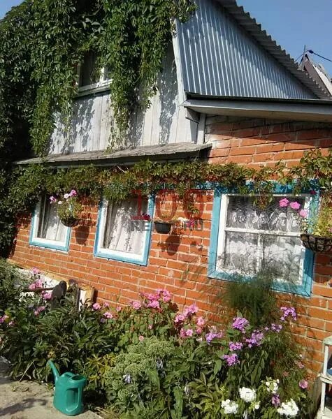 Дача нижнекамск татарстан. Сады огороды нижнекамске. Дачи на авито нижнекамск фото. Огороды в нижнекамске пробудиловке. Садоводчество.