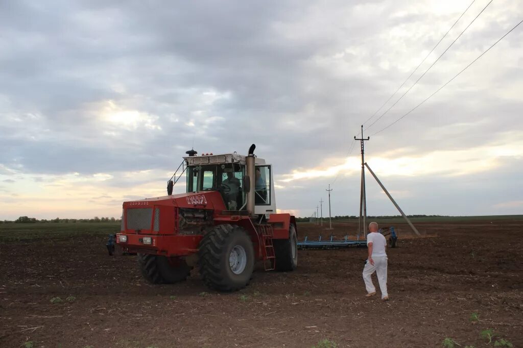 погода дмитриевка саратовская область новоузенский. село дмитриевка новоузенск саратовской области. село дмитриевка новоузенск саратовской области. саратовская область ершовский район село дмитриевка. погода дмитриевка саратовская область новоузенский.