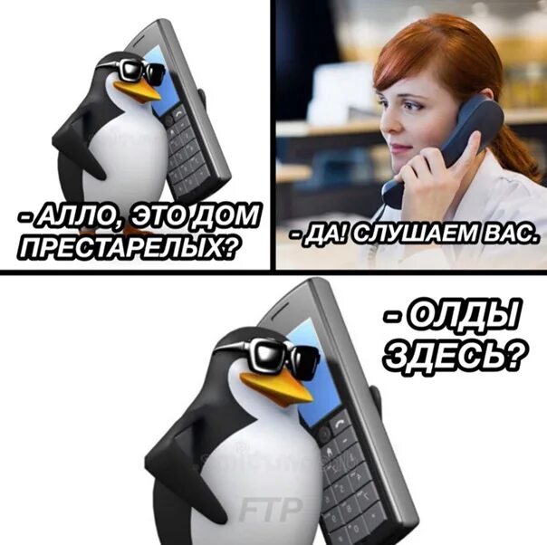 Пингвин с телефоном. Мемы с пингвинами. Алло это Мем с пингвином. Пингвин с телефоном Мем.