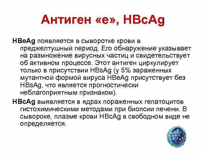 Австралийский антиген это. Вирус гепатита е антигены. Антигены гепатита б. Вирус гепатита б антигенная структура. Кровь на австралийский антиген что это.