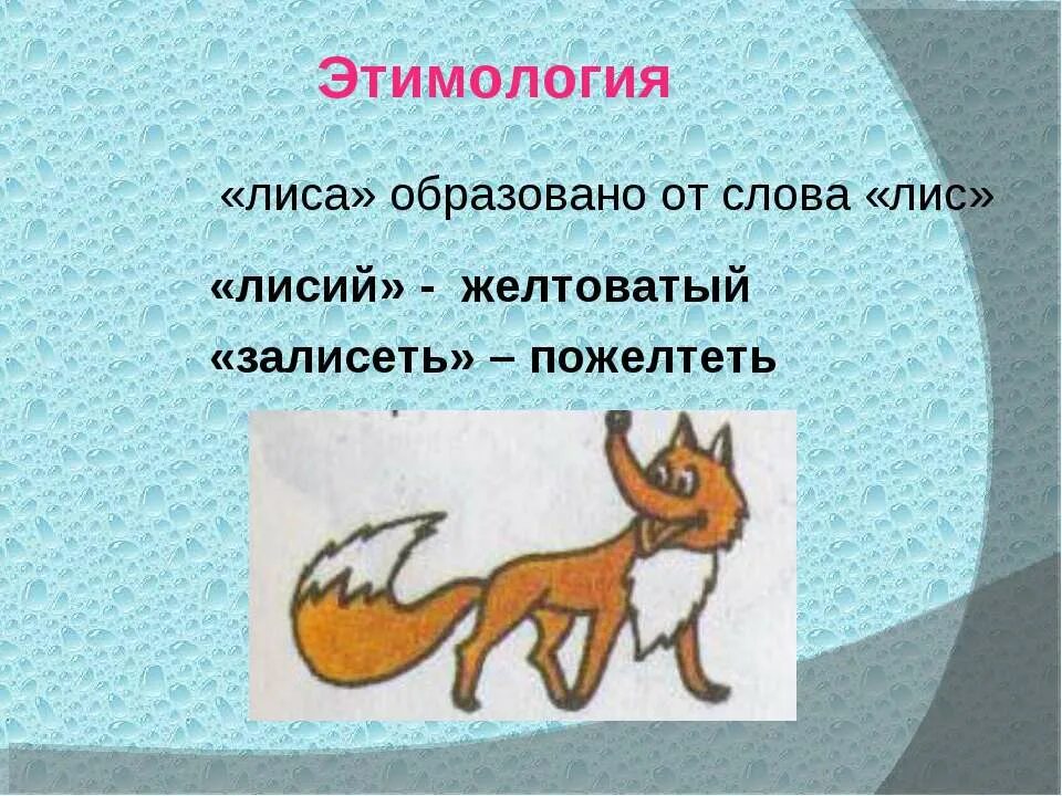 Однокоренные слова к слову лиса. Лиса лис однокоренные слова. Лисица однокоренные слова. Однокоренные слова к слову лис. Фразеологизм со словом лисица.